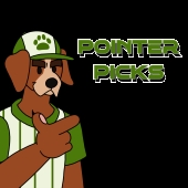 Pointer Picks